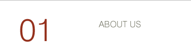 About Nikko Construction